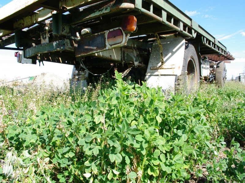 5-7 King George Avenue, Tamworth NSW 2340