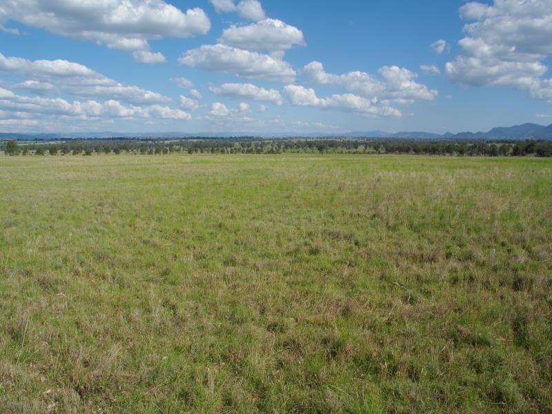 4418 Werris Creek Road, Duri NSW 2344