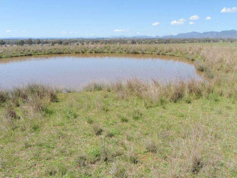 4418 Werris Creek Road, Duri NSW 2344