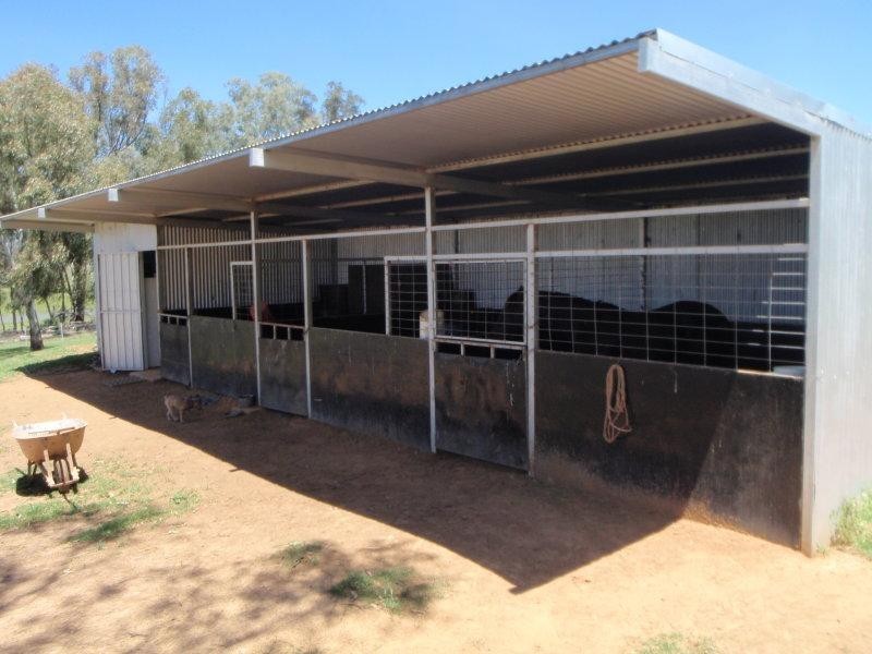 1038 Trevallyn Road, Barraba NSW 2347
