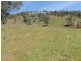 1038 Trevallyn Road, Barraba NSW 2347