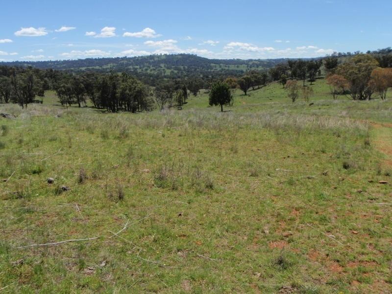 1038 Trevallyn Road, Barraba NSW 2347