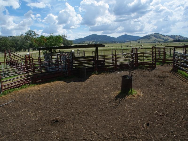 1649 Duri-Winton Road, Tamworth NSW 2340