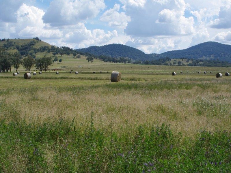 1649 Duri-Winton Road, Tamworth NSW 2340