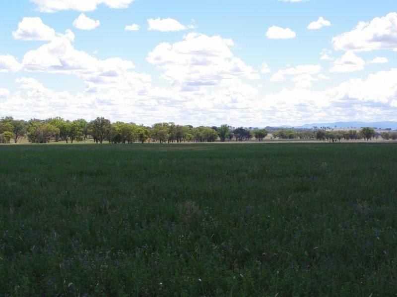 2052 Gowrie Road, Tamworth NSW 2340