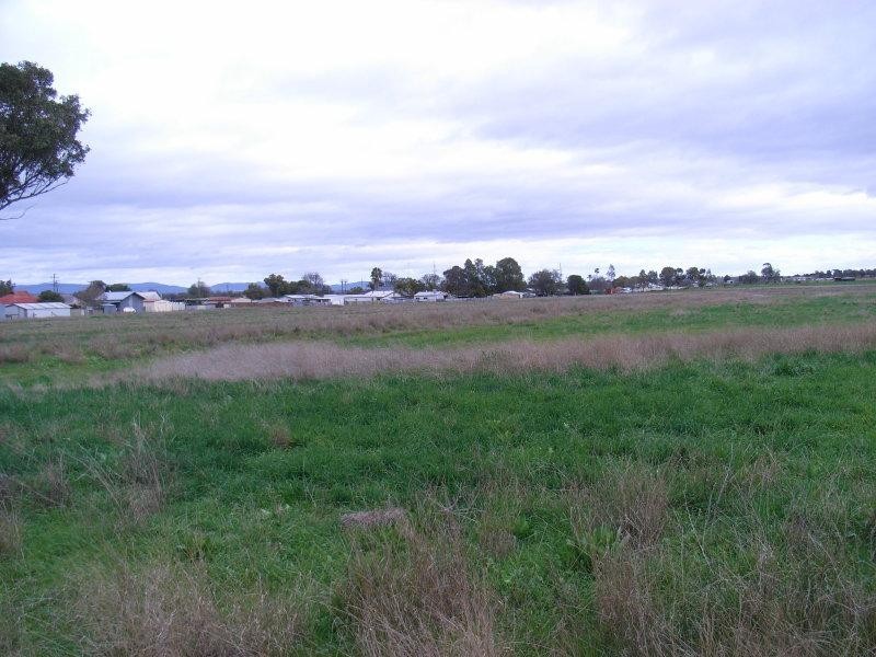 ” Alvin”, Attunga NSW 2345