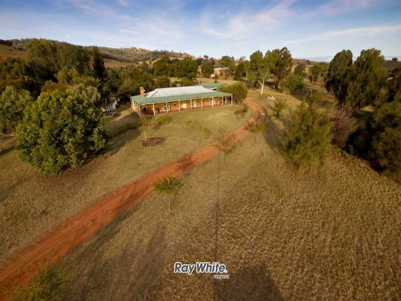 120 Back Kootingal Road, Nemingha NSW 2340