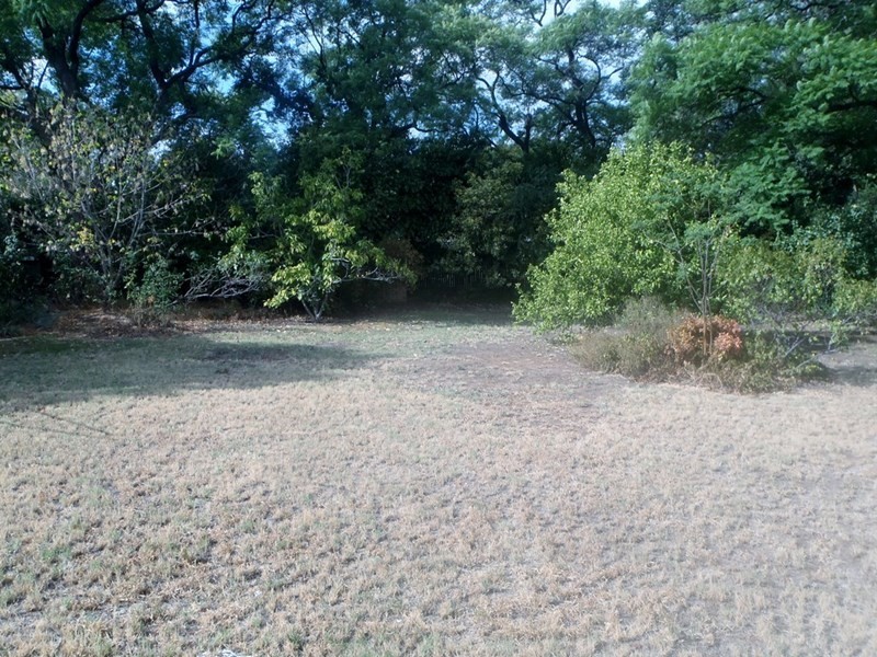 42 Napier Street, Tamworth NSW 2340