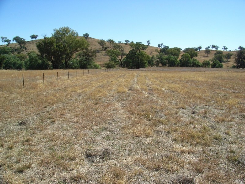 Lot 16 Martins Lane, Tamworth NSW 2340