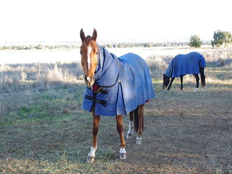 2320 Manilla Road, Attunga NSW 2345