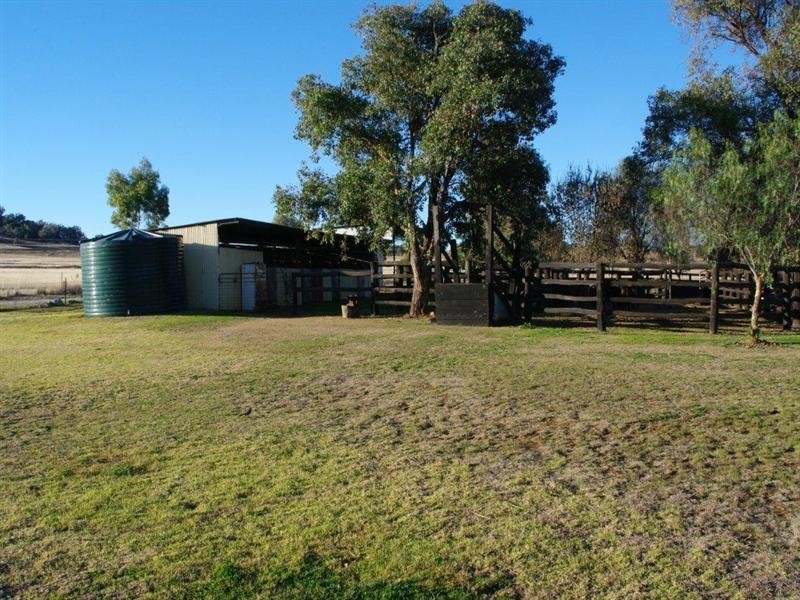 2320 Manilla Road, Attunga NSW 2345