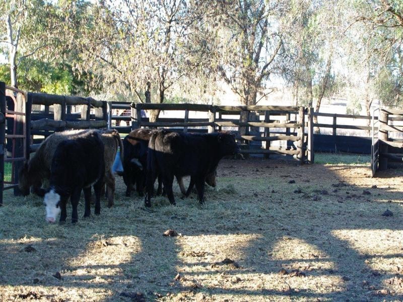 2320 Manilla Road, Attunga NSW 2345