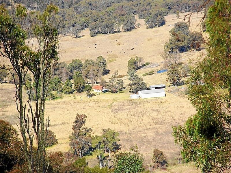 Yangarra New England Gully Road, Moonbi NSW 2353