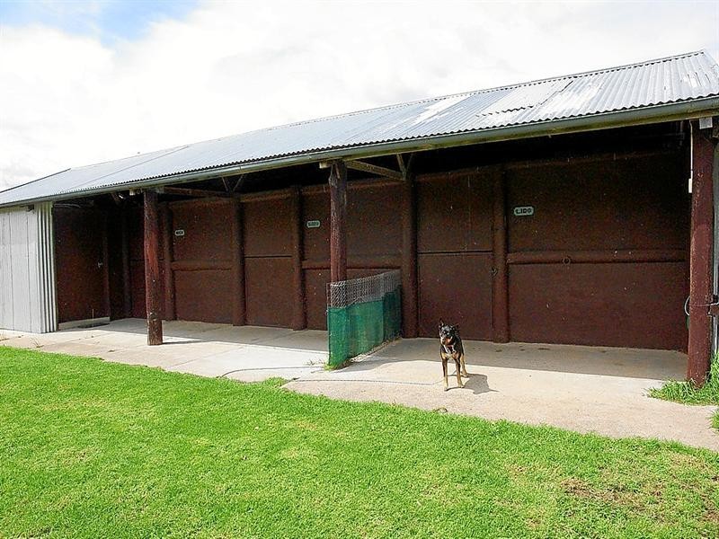 Yangarra New England Gully Road, Moonbi NSW 2353