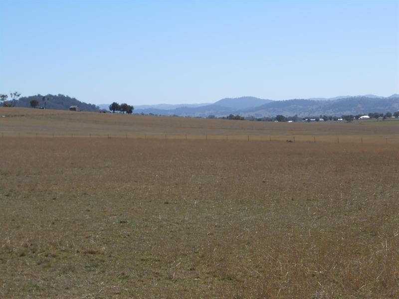 Cnr of Bowdens and Browns Lane, Tamworth NSW 2340