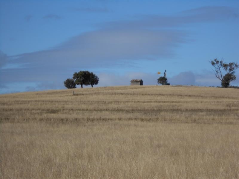 Cnr of Bowdens and Browns Lane, Tamworth NSW 2340