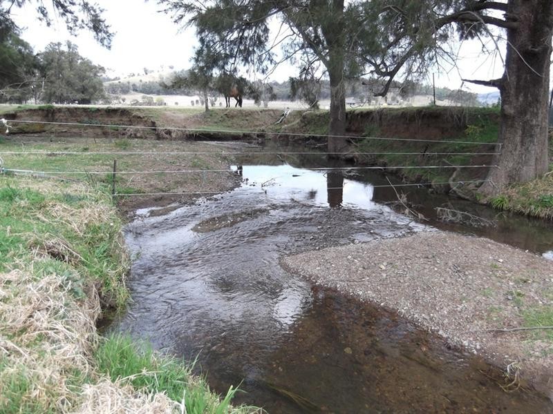 4 Duncan Street, Woolomin NSW 2340