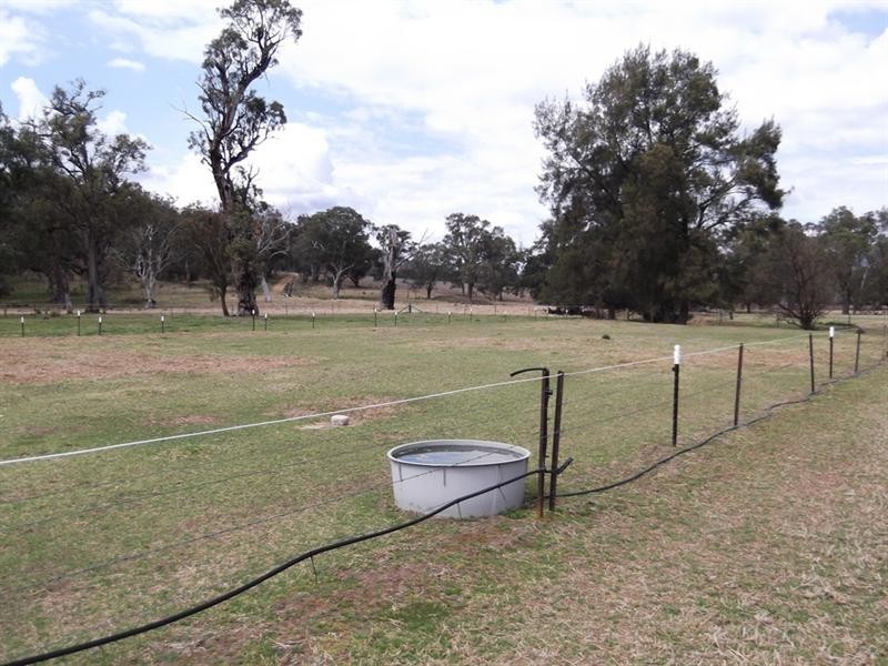 4 Duncan Street, Woolomin NSW 2340