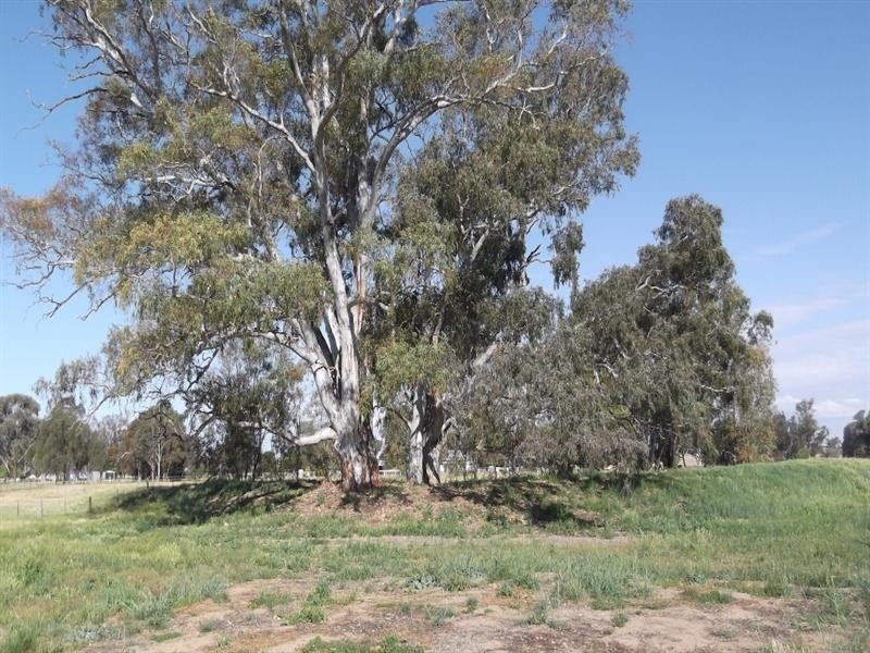 618 Warral Road, Tamworth NSW 2340