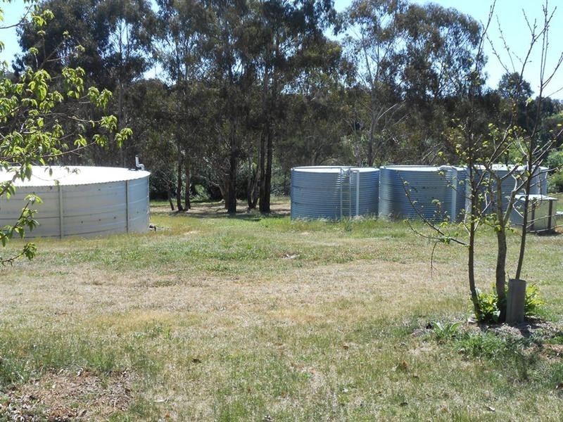 38 Borthwick Street, Woolbrook NSW 2354