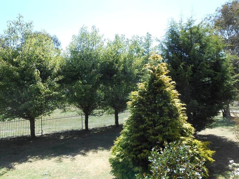 38 Borthwick Street, Woolbrook NSW 2354