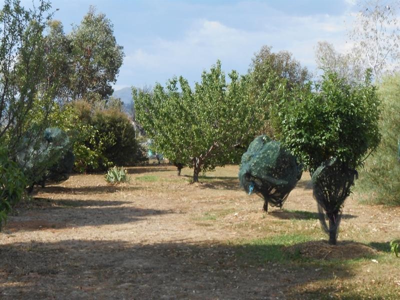 349 Forest Road, Tamworth NSW 2340