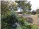 349 Forest Road, Tamworth NSW 2340