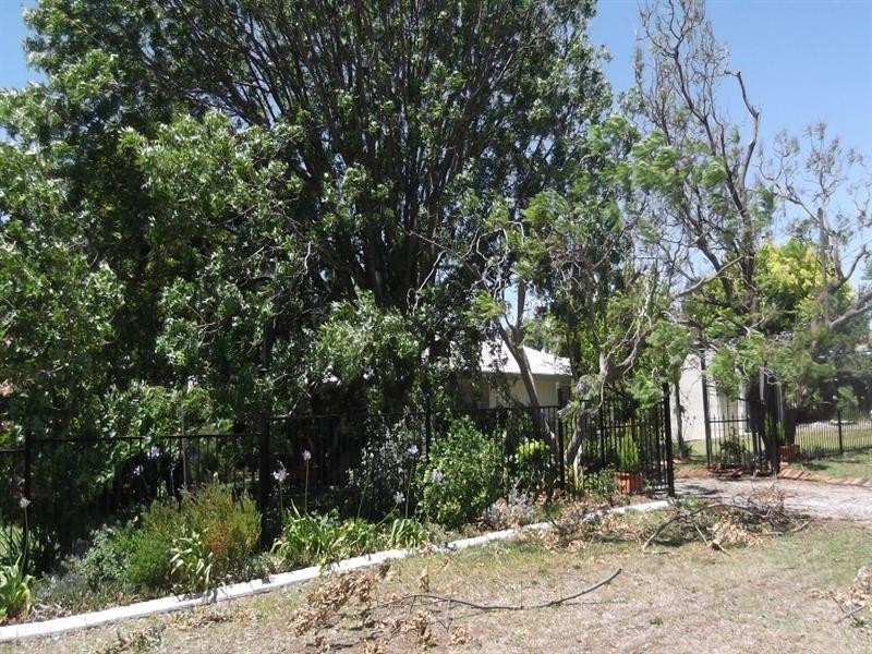 17 Campbell Road, Calala NSW 2340