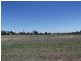 11 Warwick Road, Tamworth NSW 2340