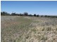 11 Warwick Road, Tamworth NSW 2340