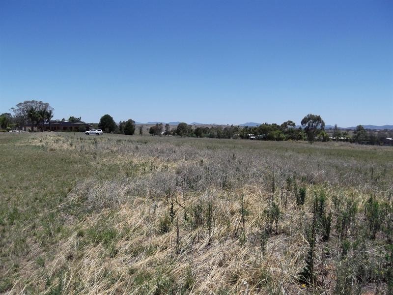 11 Warwick Road, Tamworth NSW 2340