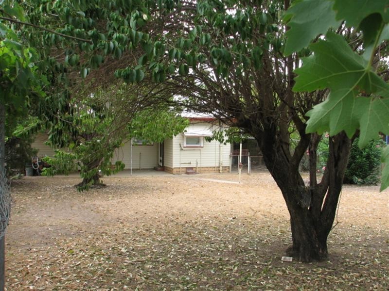 11 Jean Street, Tamworth NSW 2340