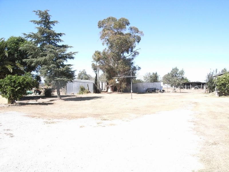 117 Flinders Street, Tamworth NSW 2340