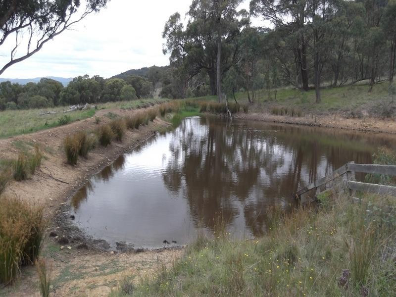 ‘The Ranges’ 124 The Ranges Road, Tamworth NSW 2340