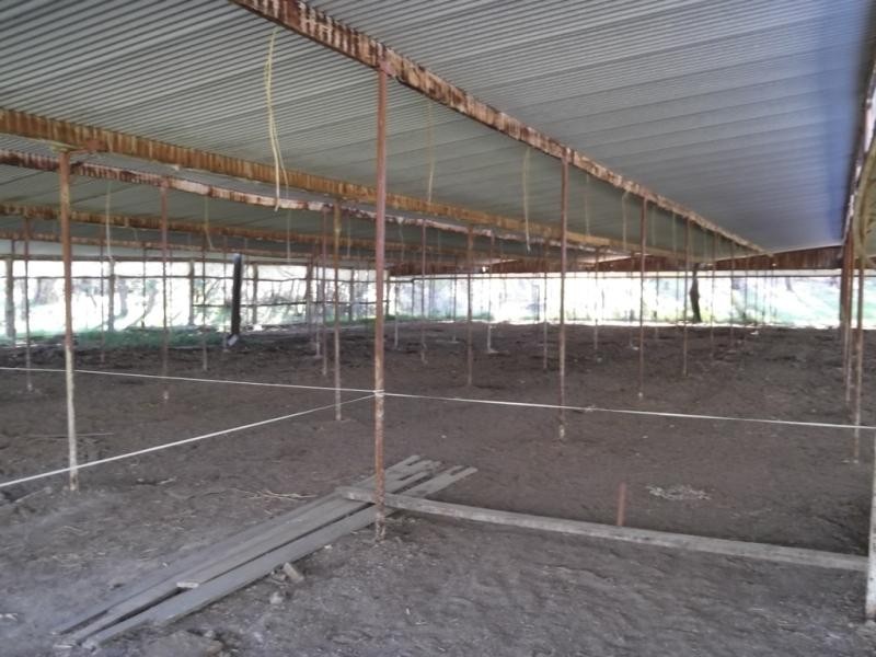 5 Schofields Road, Moonbi NSW 2353