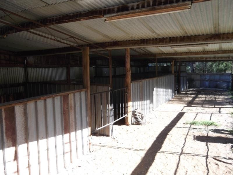 5 Schofields Road, Moonbi NSW 2353