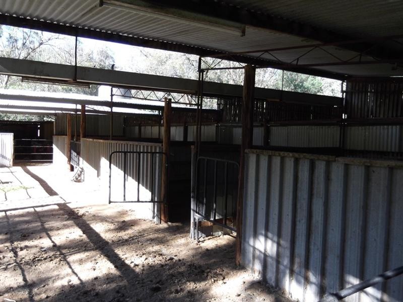 5 Schofields Road, Moonbi NSW 2353