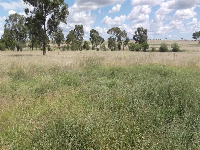 Lot 102 Burgmanns Lane, Tamworth NSW 2340