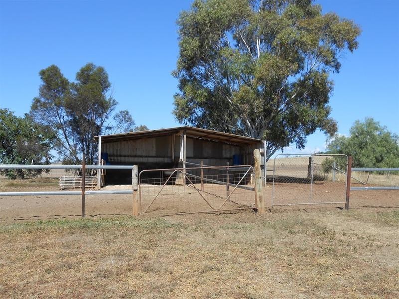 52 – 58 Regans Road, Tamworth NSW 2340