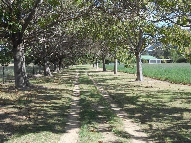 271 Langens Lane, Tamworth NSW 2340