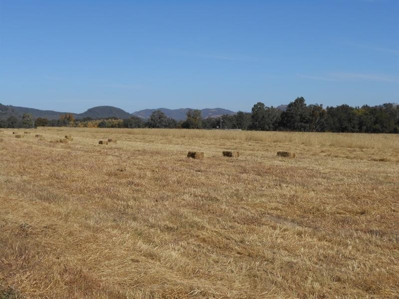 271 Langens Lane, Tamworth NSW 2340