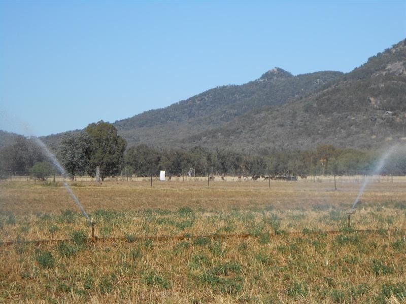 271 Langens Lane, Tamworth NSW 2340