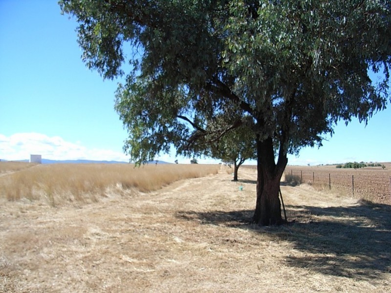 Lot 1 Bective Reserve Road, Tamworth NSW 2340