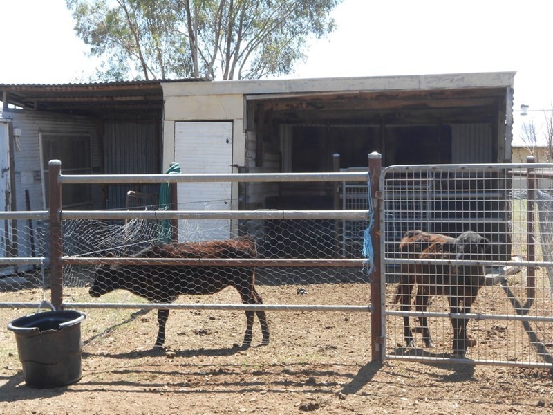 60 New Winton Road, Tamworth NSW 2340