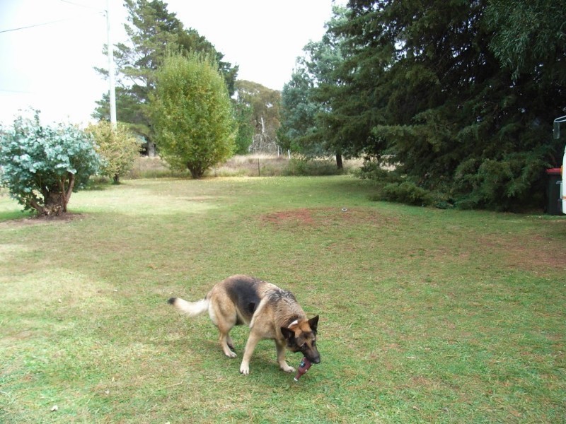 767 Barry Road, Hanging Rock NSW 2340