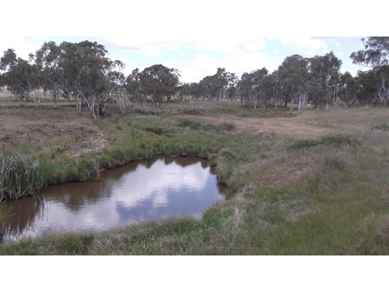 485 Rimbanda Road, Kentucky NSW 2354