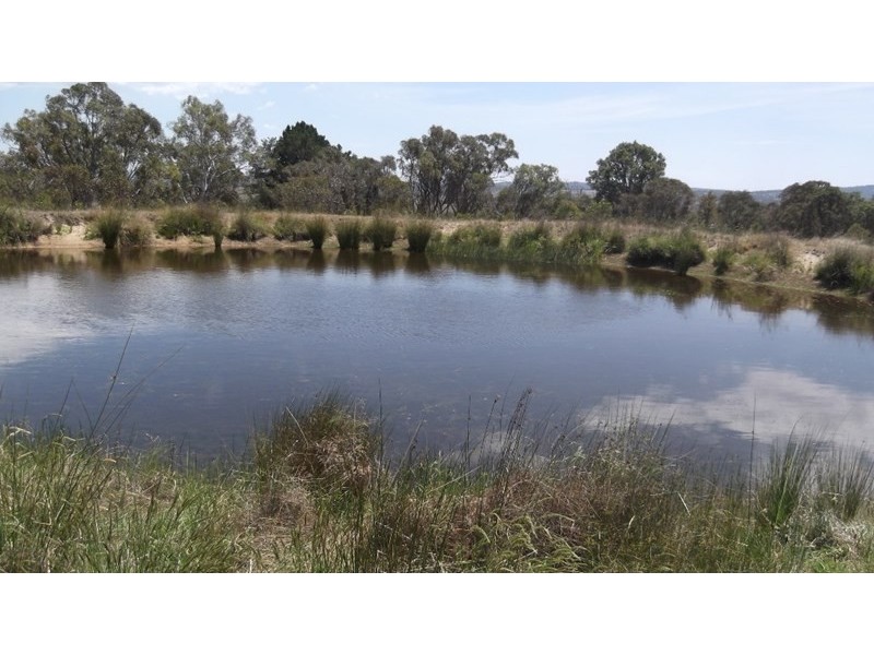 485 Rimbanda Road, Kentucky NSW 2354