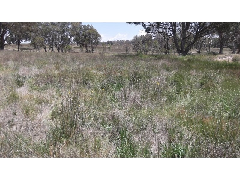 485 Rimbanda Road, Kentucky NSW 2354