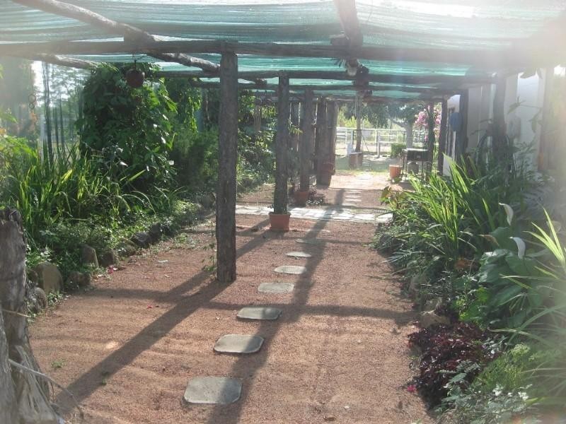 Charters Towers QLD 4820