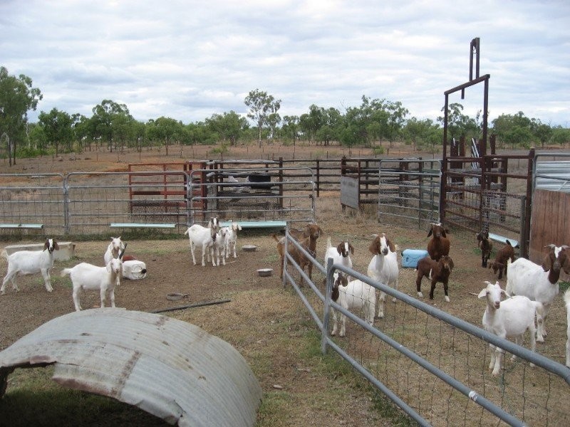 Charters Towers QLD 4820